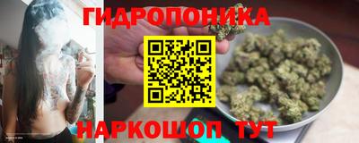 хмурый Белореченск